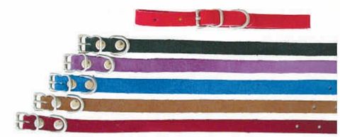 PUPPY COLLARS & LEADS