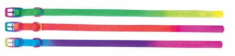 *Rainbow Puppy Collar 30cm