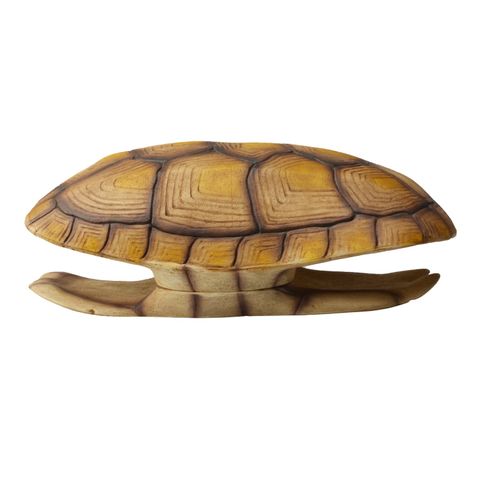 Turtle Shell Ornament