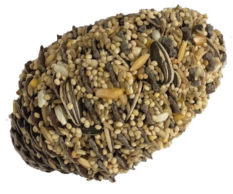 Large Seed Pinecones (Sml Parrot Seed)