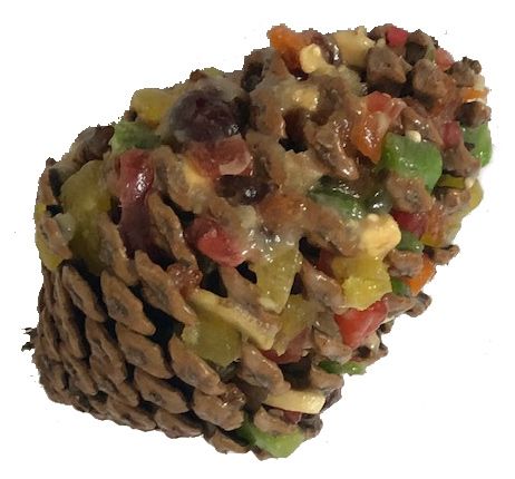 Large Fruit Pinecones
