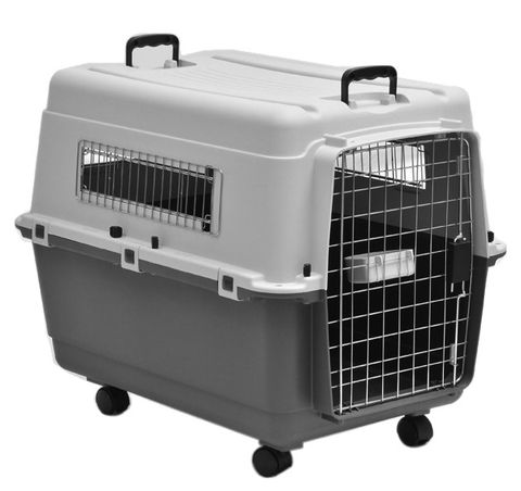 *Airline Carrier XLarge 100x67x75cm