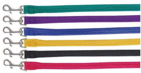 SINGLE NYLON COLLARS & LEADS