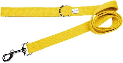 *Lead Webbing 25mm x 45cm Gold
