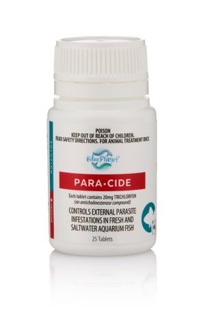 BP Paracide Tablets 25pk