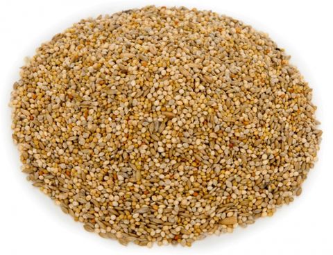 20kg Budgie Seed
