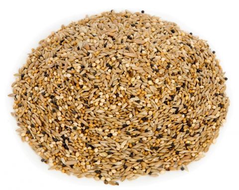 20kg Canary Seed (Mixed)