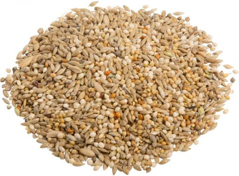 20kg Budgie Blue Seed