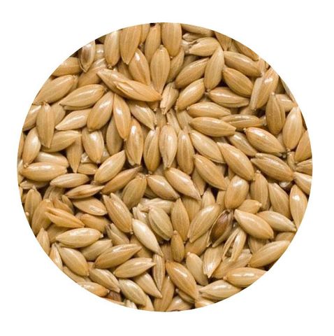 *20kg Plain Canary Seed