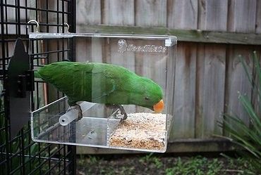 SeedMate Bird Feeder Large