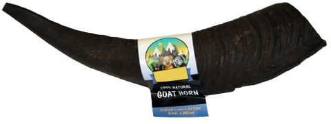 NM Jumbo Goat Horn min.30cm