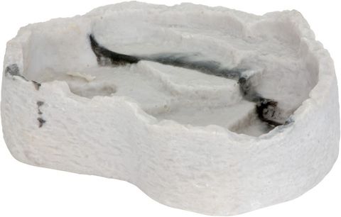Reptile Dish SY101
