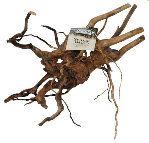 Large Spider Wood 50-65cm