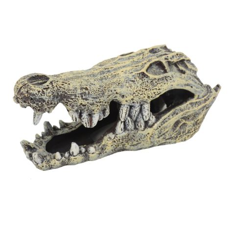 Croc Skull Ornament
