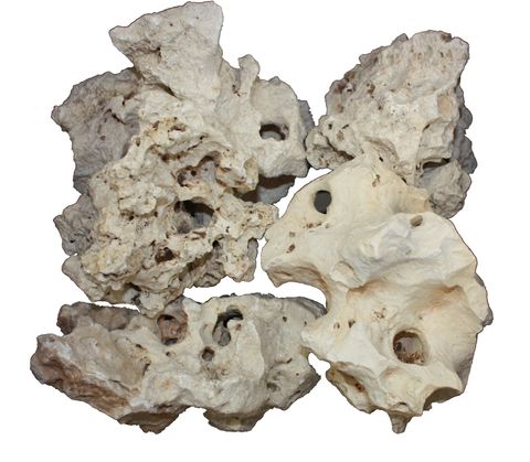 White Holey Rock 15cm-30cm 10kg Box