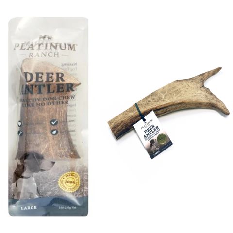 PR Large Deer Antler SINGLES