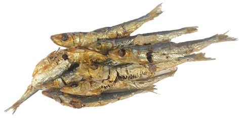 NM Aussie Sardines 1 Kg