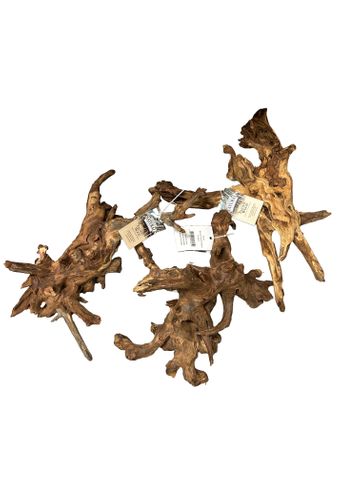 Pacific Wood MEDIUM 35cm-50cm