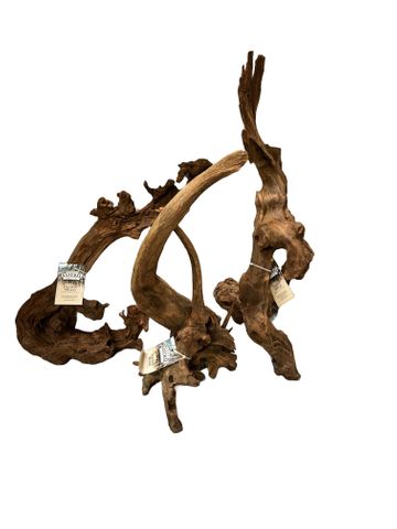 Pacific Wood LARGE 50cm-65cm