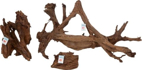 Mangrove Root LARGE