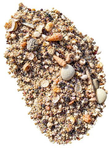 Probird Health Shell Grit 15kg