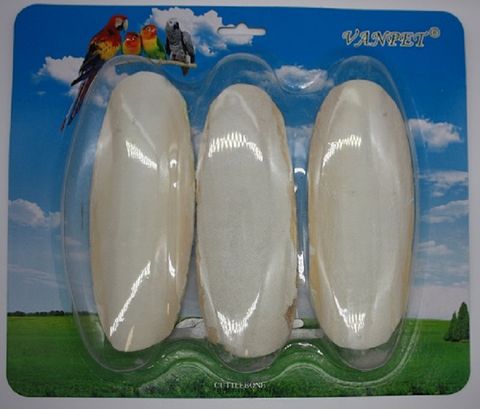 CUTTLEFISH & CALCIUM BELLS