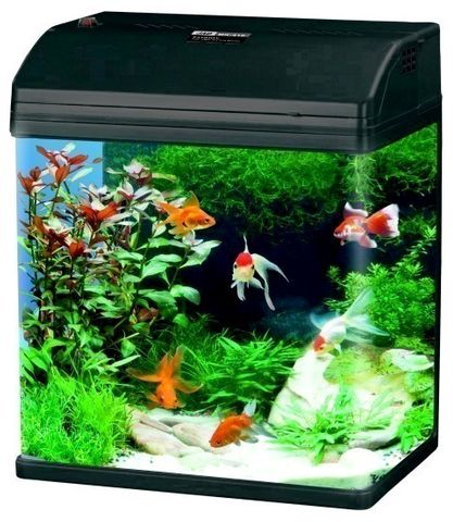 ALL IN ONE AQUARIUMS