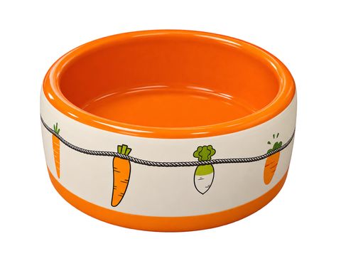 *NEW* Ceramic Small Animal Bowl 5.75"