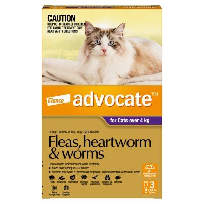 Advocate Large Cat >4kg 3pk Purple