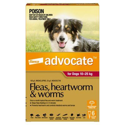 Advocate Large Dog 10-25kg 6pk Red