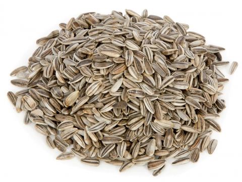 15kg Grey Sunflower Seed
