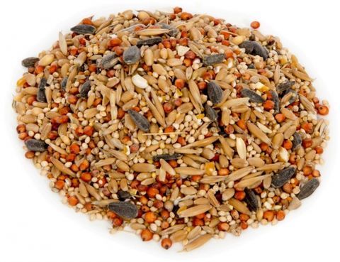 20kg Wild Bird Seed
