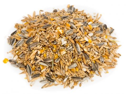 20kg Small Parrot Seed