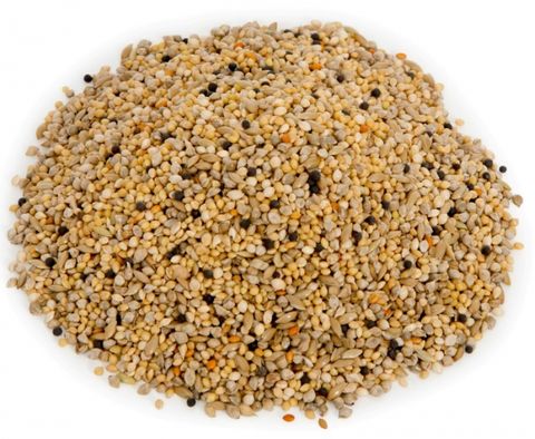 20kg Finch Seed