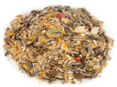 20kg Parrot Blue Fruit & Nut Seed