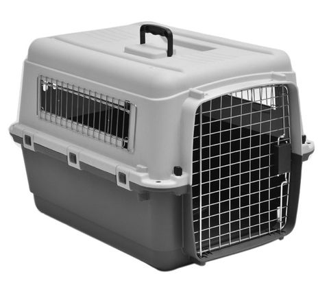 *Airline Carrier Large 81x56x59cm