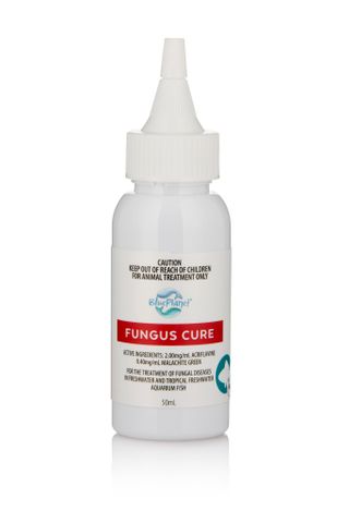 BP Fungus Cure 50ml