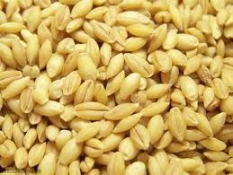 SIENA 1kg (12) BARLEY (PEARLED)