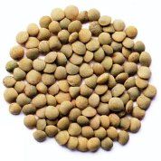 25kg LENTILS GIANT GREEN