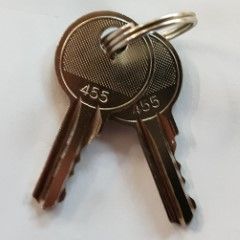 Keys, pair, complete with keyring (YQ2016)