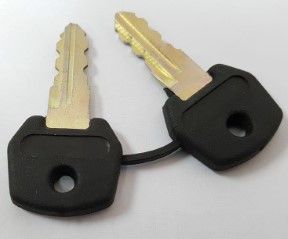 Keys, pair, complete with keyring (NHP2012)