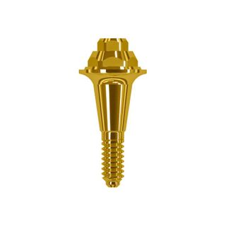ABUTMENT MINI CM 4.8 X 1MM