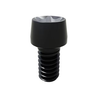 Smart Angled Screw Chanel Prosthetic Screw (requires angled screw driver) Lab Screw