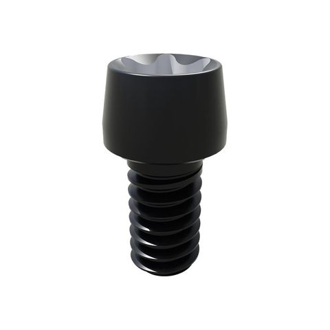 Smart Angled Screw Chanel Prosthetic Screw (requires angled screw driver) Lab Screw