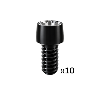Smart Angled Screw Channel Prosthetic Screw 10 Pack