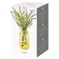 ASD LAVA VASE SMALL YELLOW