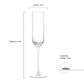 ASD MILAN CHAMPAGNE FLUTES SET OF 2