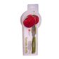 Zitos Tomato Knife (12)
