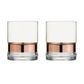 Asd Soho Dof Tumbler Bronze Set Of 2
