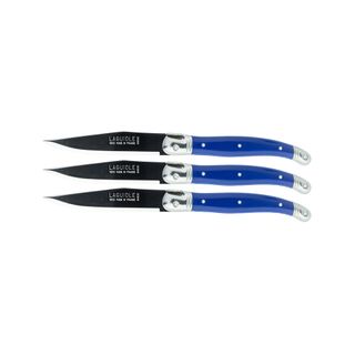 Laguiole Fruit Knife Navy (3)